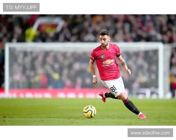 北京羽毛球队精英赛之路：从默默无闻到耀眼辉煌的成长历程